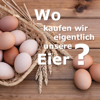 wo eier kaufen