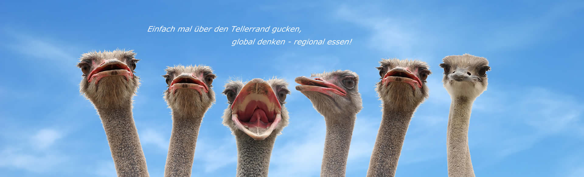 Strauße gucken über den Tellerrand